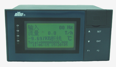 DY21LLR DY2000（LLR）液晶显示补偿式流量积算SD卡数据存储仪 