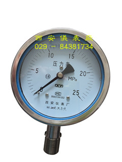 YTF-100全不锈钢压力表