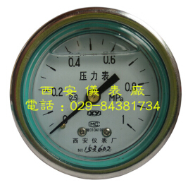 YTN-60Z抗震充液压力表