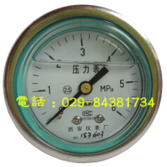 YTN-60Z耐震压力表
