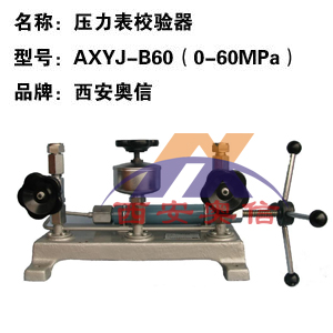 AXYJ-B60 0-60Mpa压力校验器 压力开关校验装置